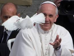 Papa Francisco - paloma